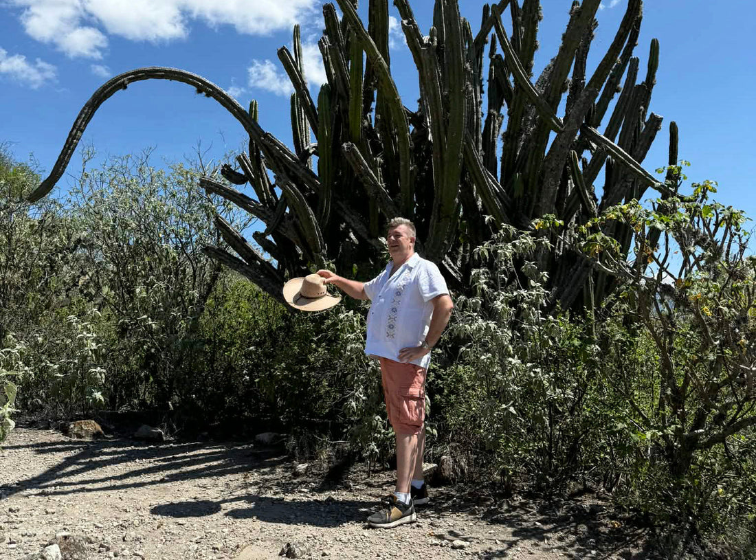 meksika ceļojums uz meksiku kaktuss eksotiski galamērķi mexico