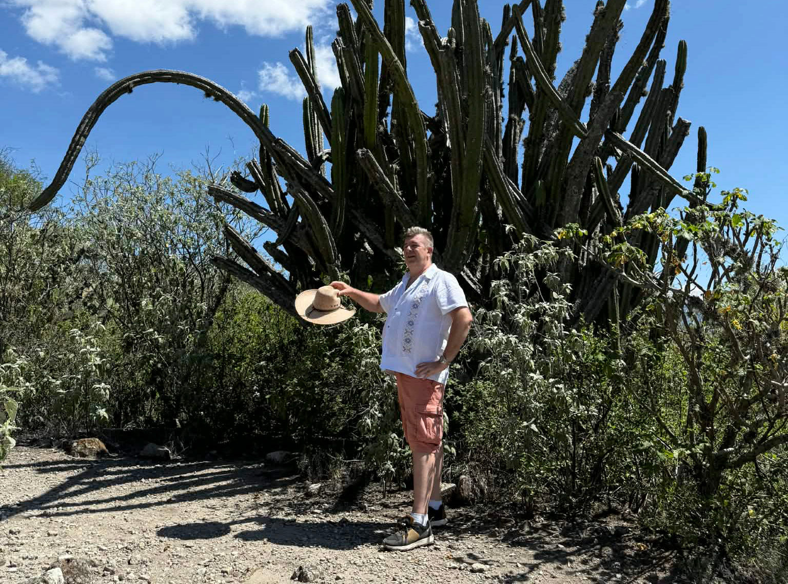 meksika ceļojums uz meksiku kaktuss eksotiski galamērķi mexico