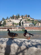 Romantiskā Itālija