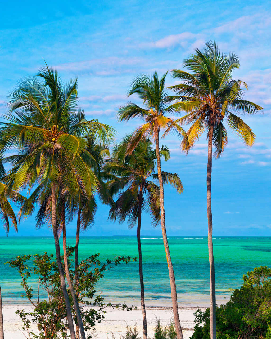 Tanzānijas safari & Zanzibāras okeāna miers