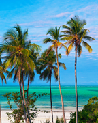 Tanzānijas safari & Zanzibāras okeāna miers