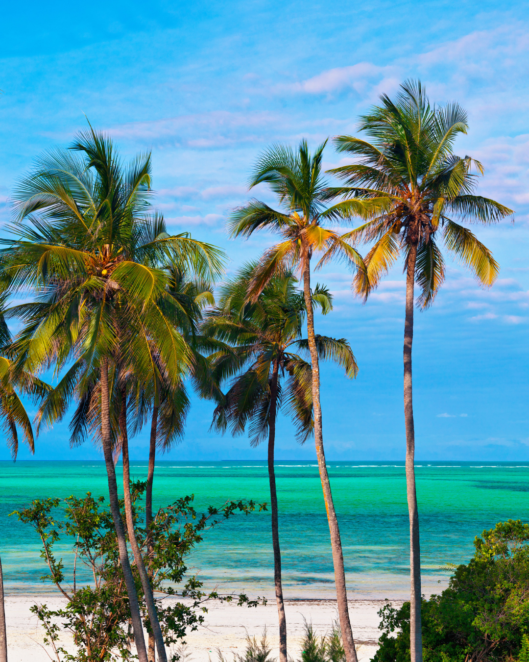 Tanzānijas safari & Zanzibāras okeāna miers