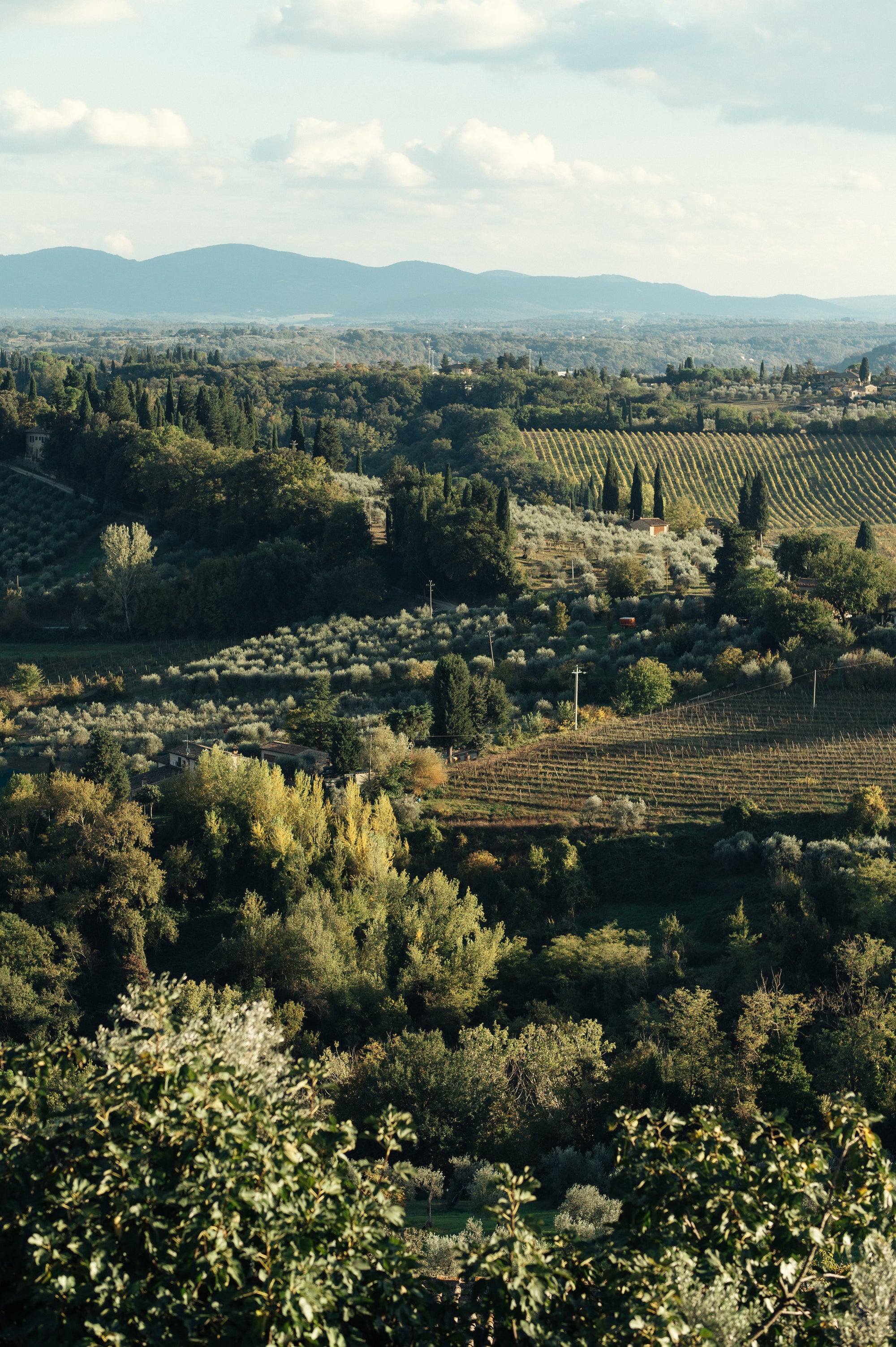 Garšu ceļojums Toskānā