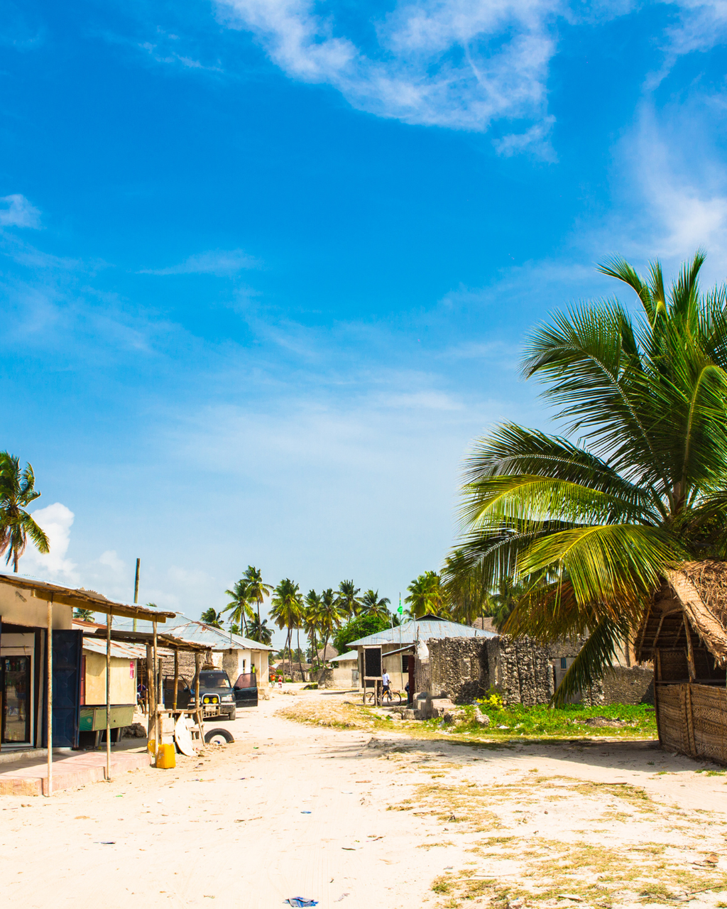 Tanzānijas safari & Zanzibāras okeāna miers