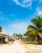 Tanzānijas safari & Zanzibāras okeāna miers
