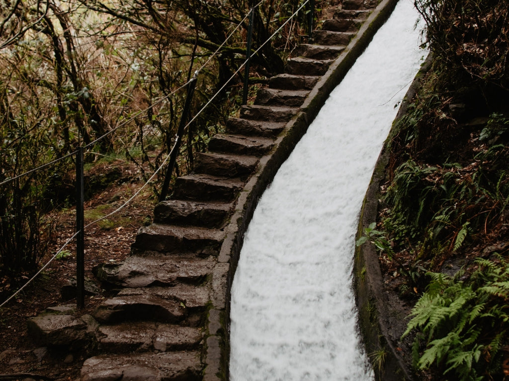 Jaunais gads Madeirā