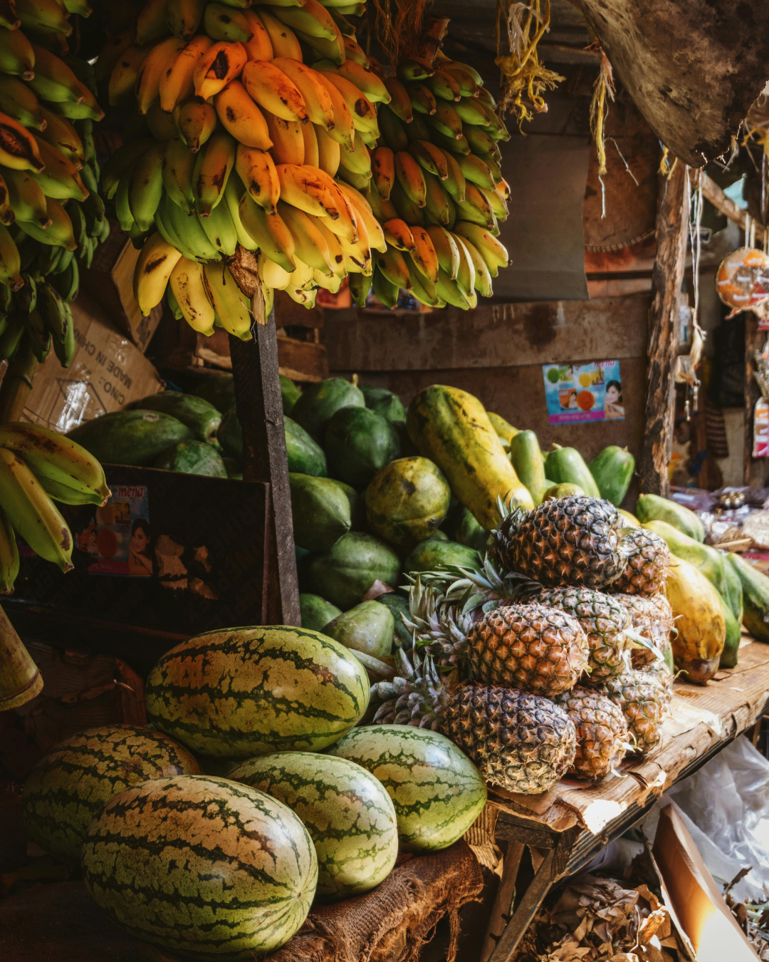 Tanzānijas safari & Zanzibāras okeāna miers