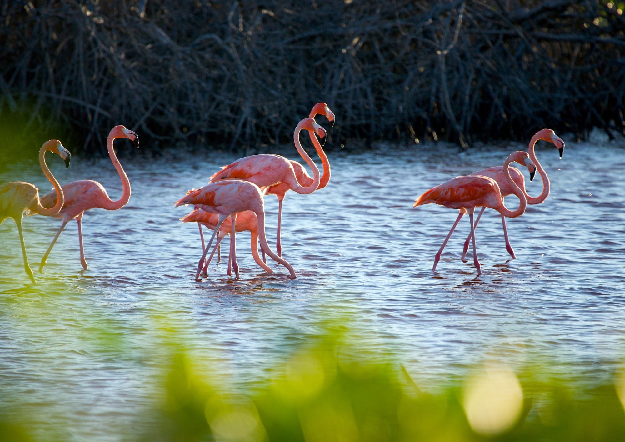 Meksika - piedzīvojums, kas atstās Tevi bez vārdiem