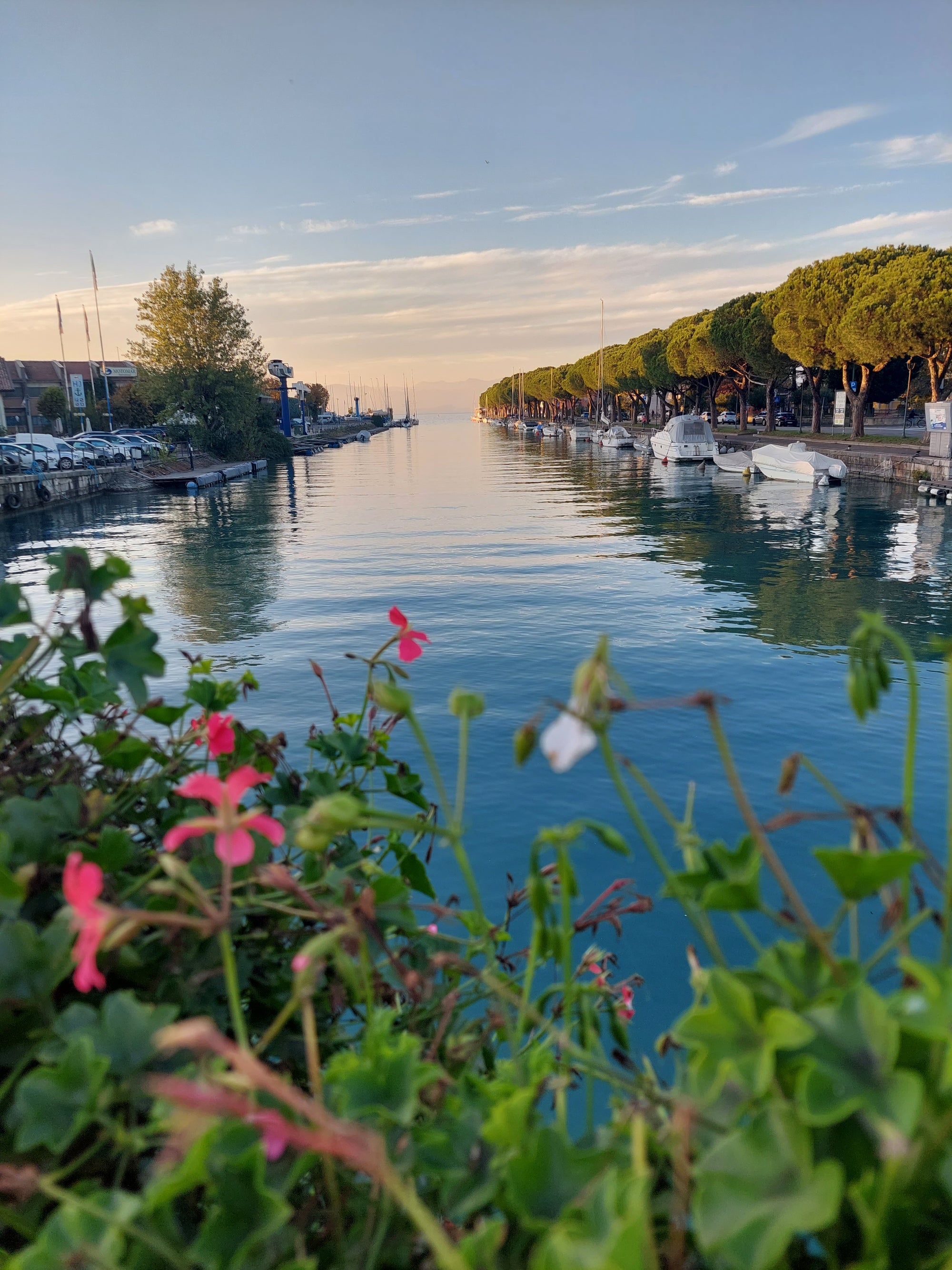 Alpu kalnu piedzīvojums