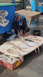 Austrumu pasaka Marokā