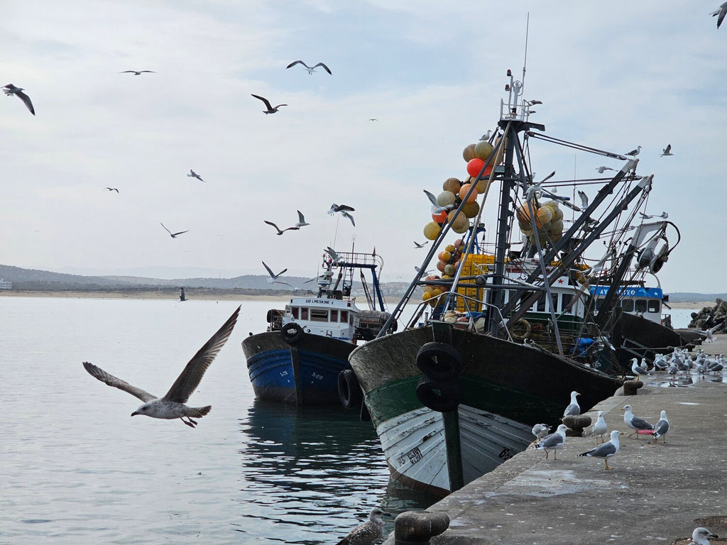 Austrumu pasaka Marokā