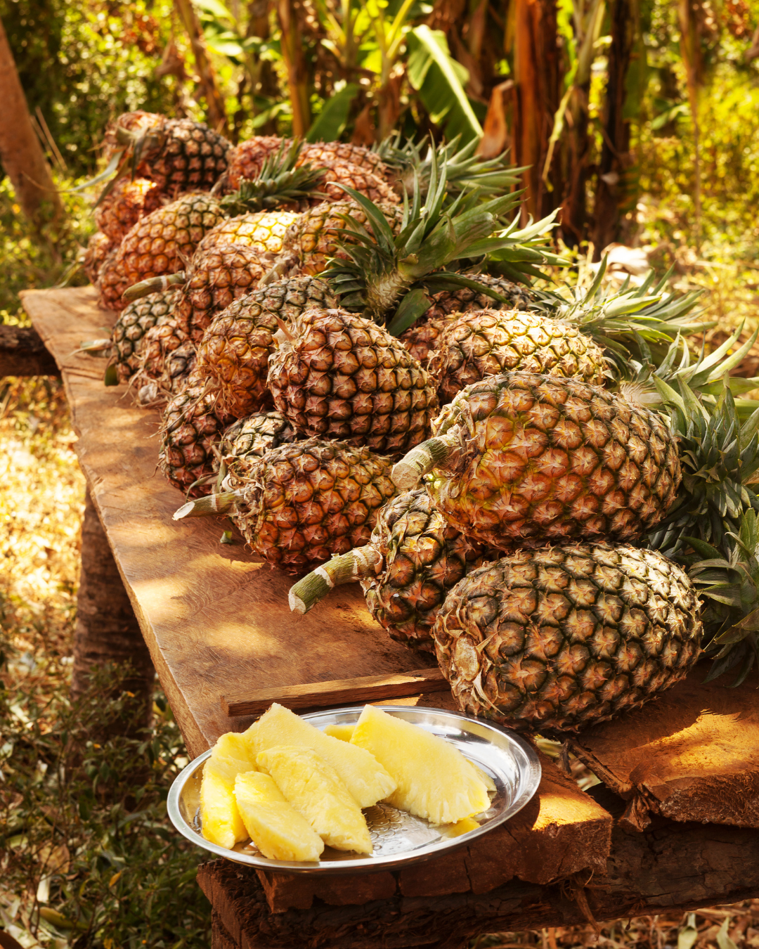 Tanzānijas safari & Zanzibāras okeāna miers