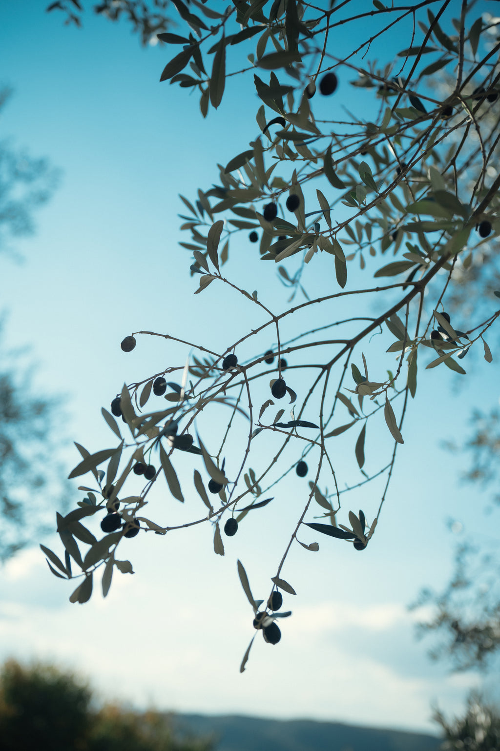 Ceļojums uz Toskānu Itālijā - ar rudens šarmu oktobrī