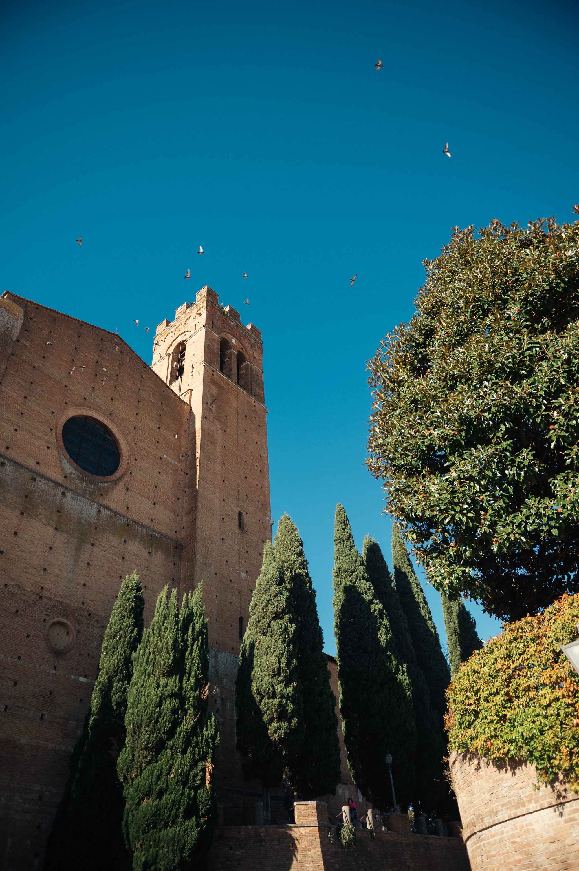 Ceļojums uz Toskānu Itālijas ieskandināt vasaru