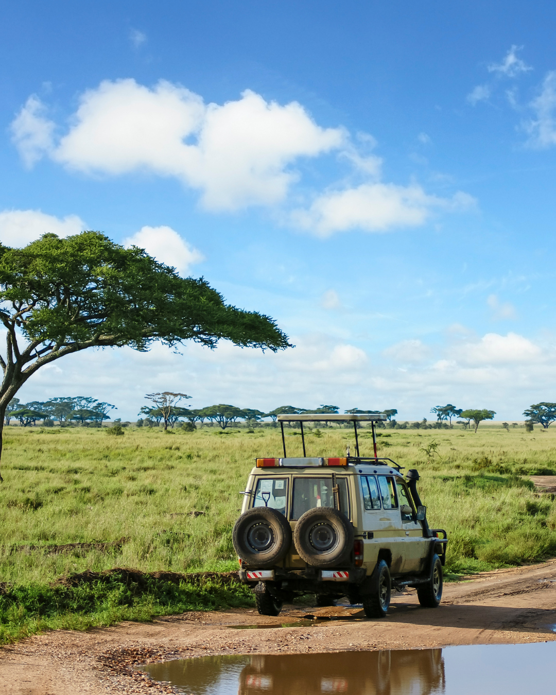 Tanzānijas safari & Zanzibāras okeāna miers