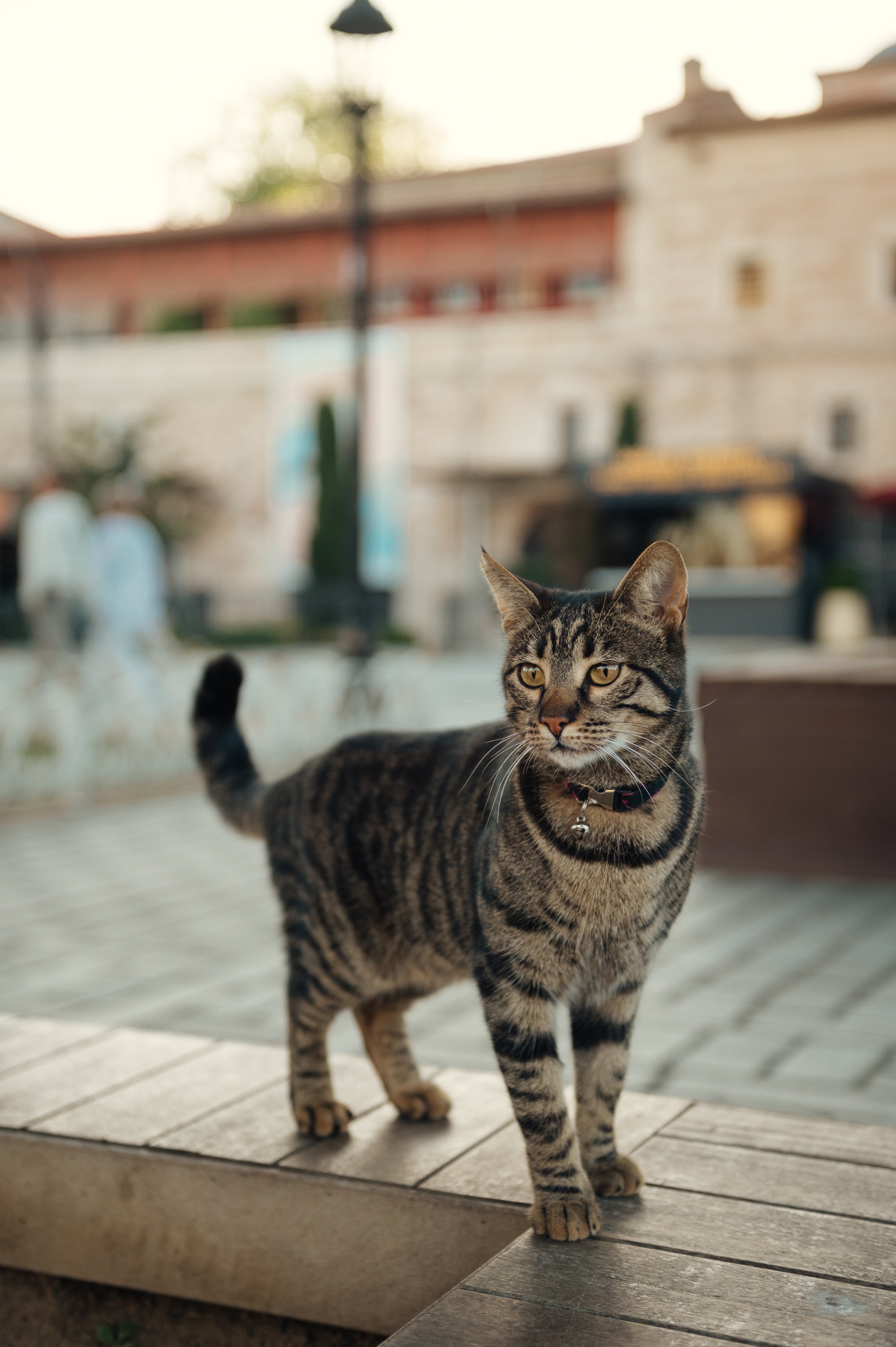 Pasaules metropole Stambula