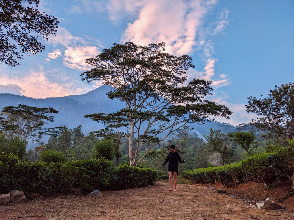Šrilanka – paradīze Indijas okeānā