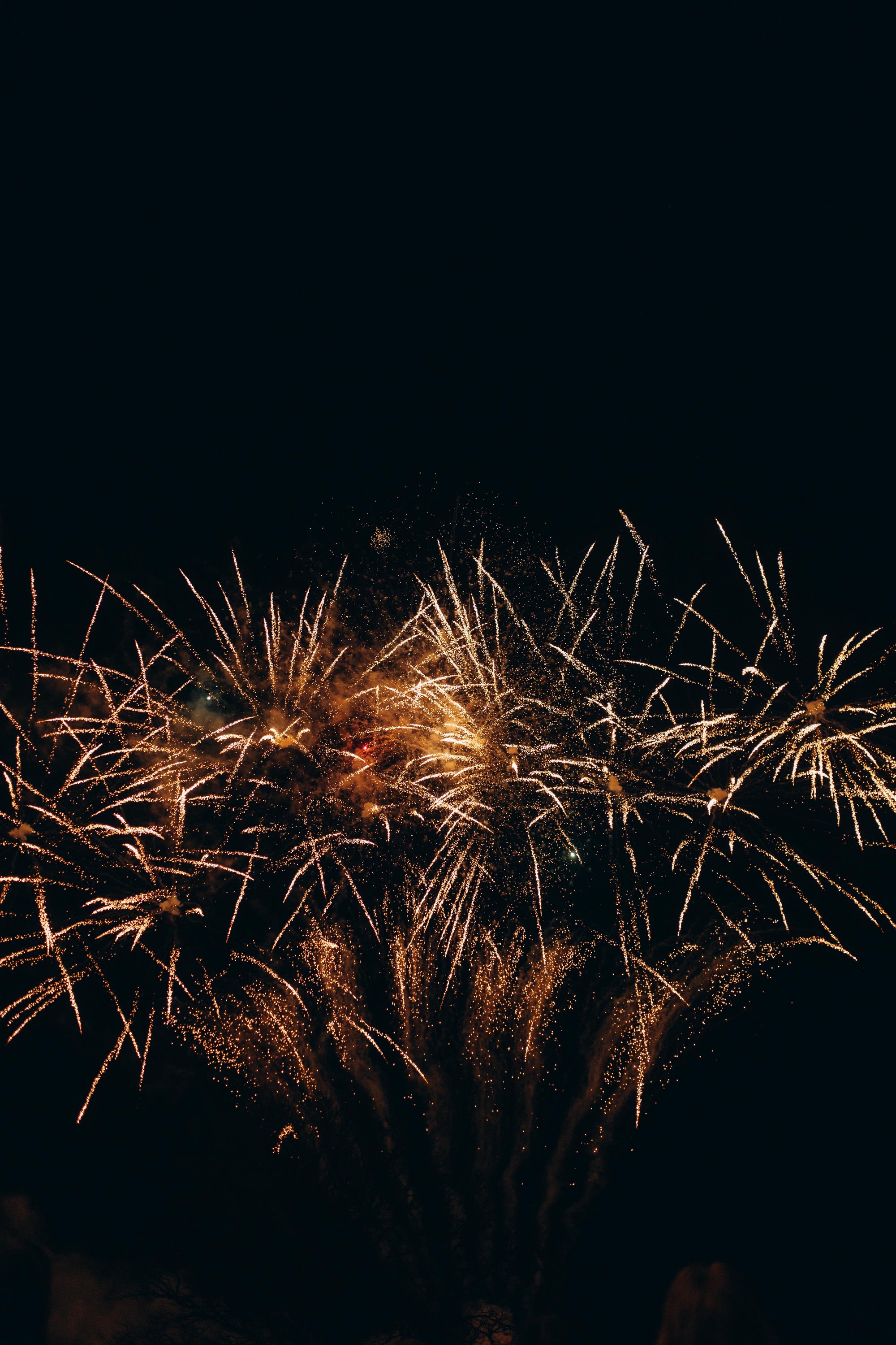 Pasākums "Karnevāls" Igates pilī