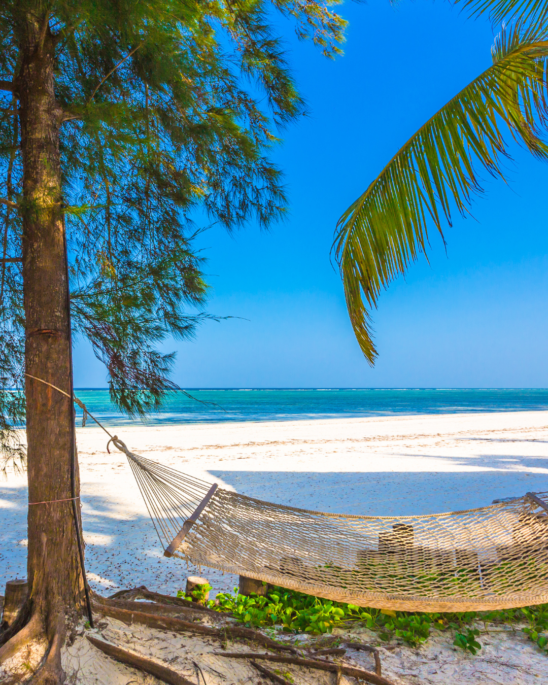 Tanzānijas safari & Zanzibāras okeāna miers