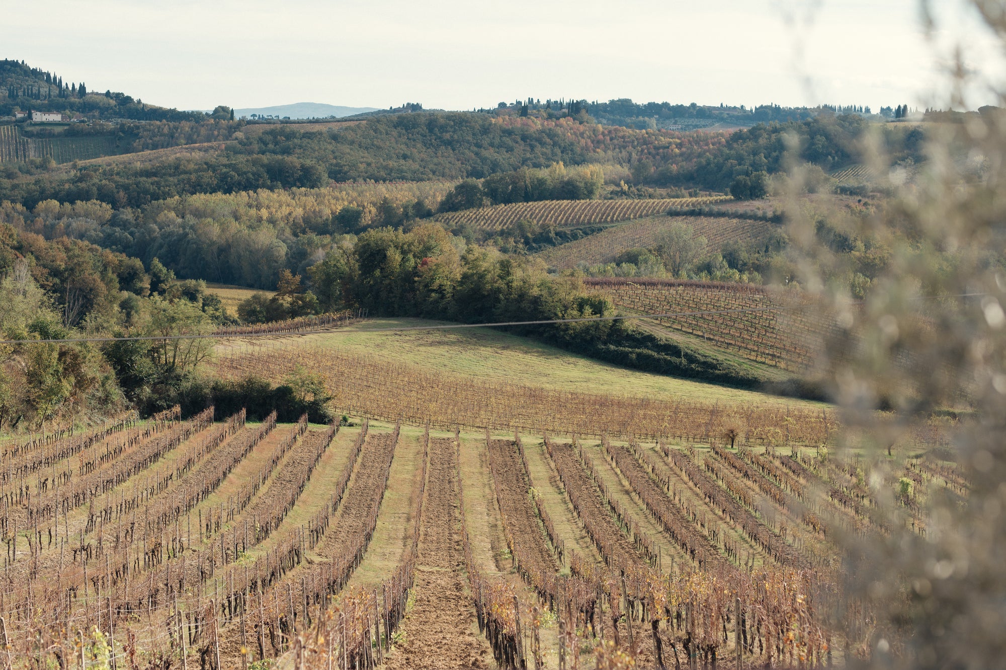 Ceļojums uz Toskānu Itālijas ieskandināt vasaru