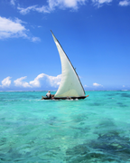 Tanzānijas safari & Zanzibāras okeāna miers