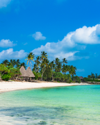 Tanzānijas safari & Zanzibāras okeāna miers