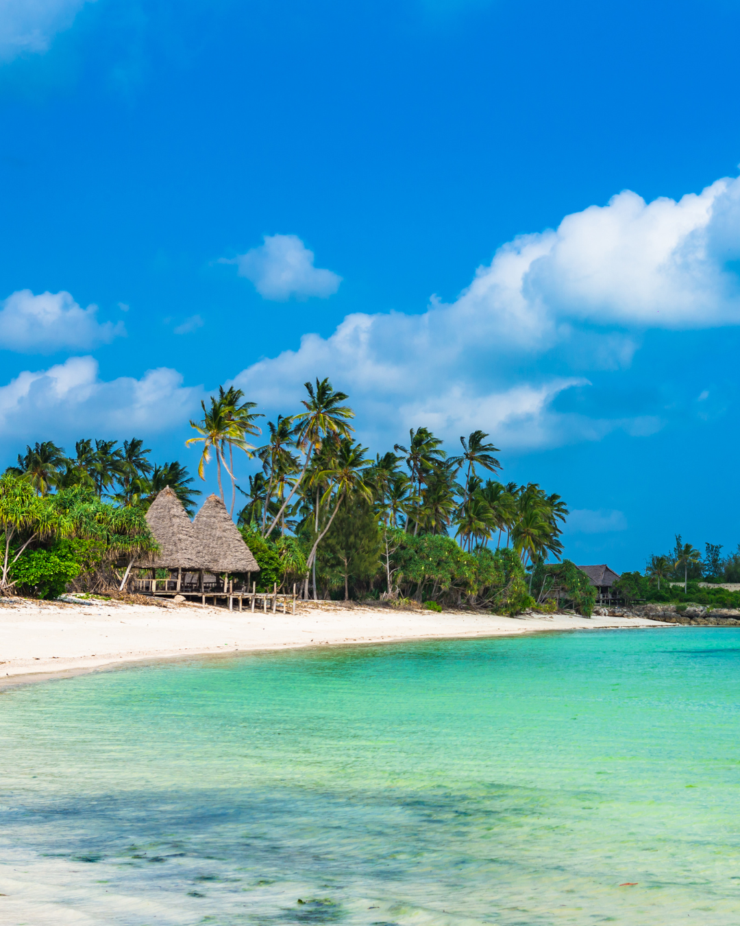 Tanzānijas safari & Zanzibāras okeāna miers