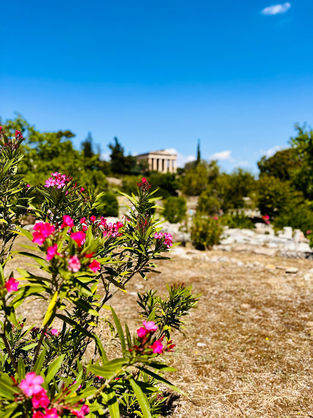 Atēnas un Grieķijas salas pavasarī – nelielas grupas ceļojums