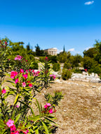 Atēnas un Grieķijas salas pavasarī – nelielas grupas ceļojums