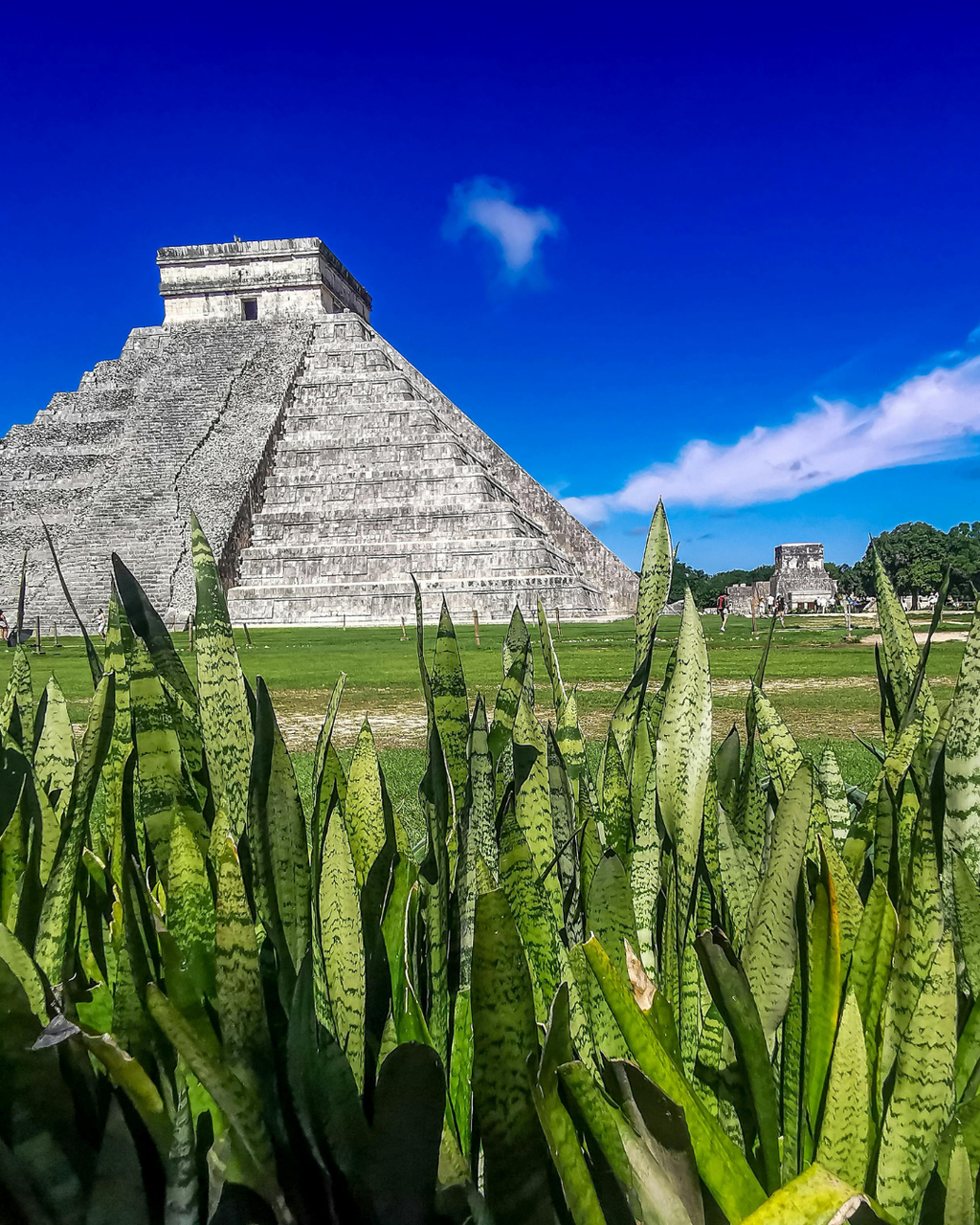 MEKSIKA - Karību jūra, maiju noslēpumi un sajūtas