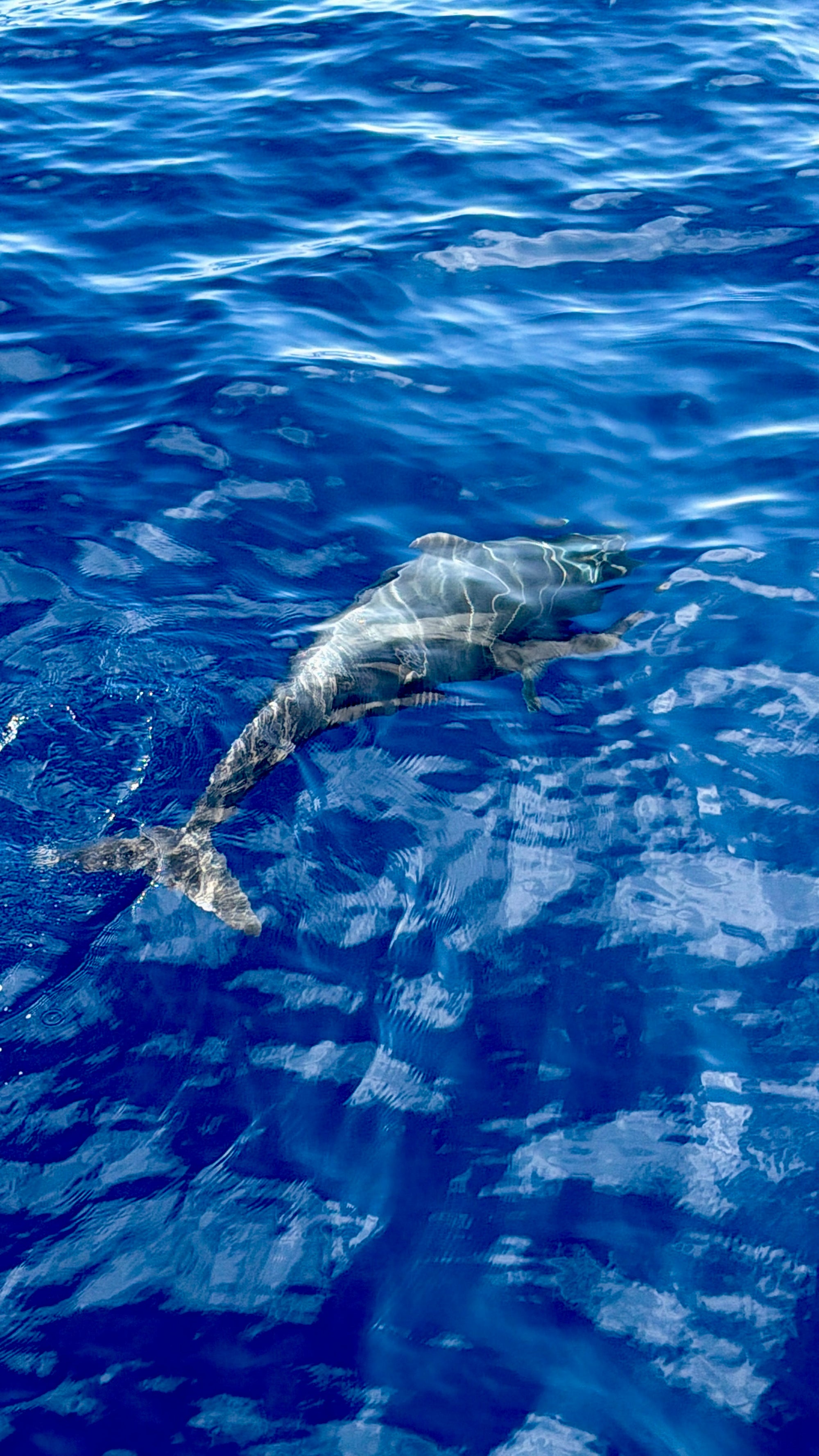 Tenerife – no vulkāniem līdz okeānam