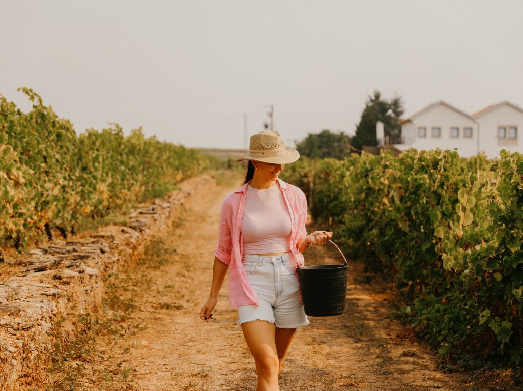 Ekskluzīva Gardēžu tūre Portugālē