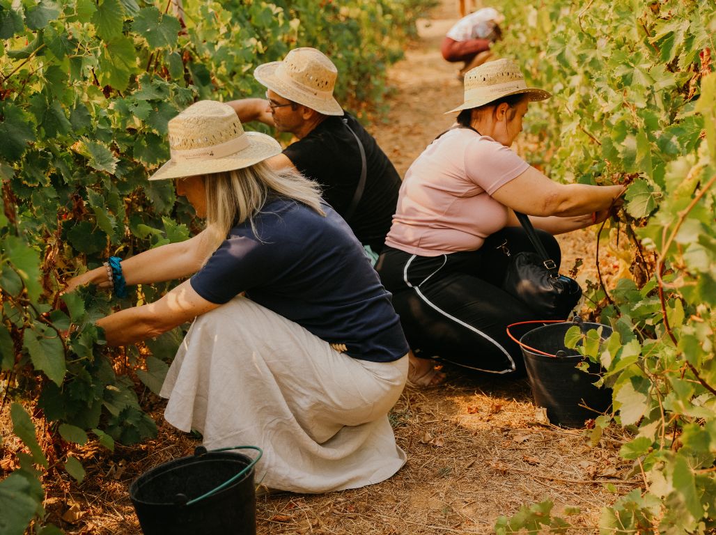 Ekskluzīva Gardēžu tūre Portugālē