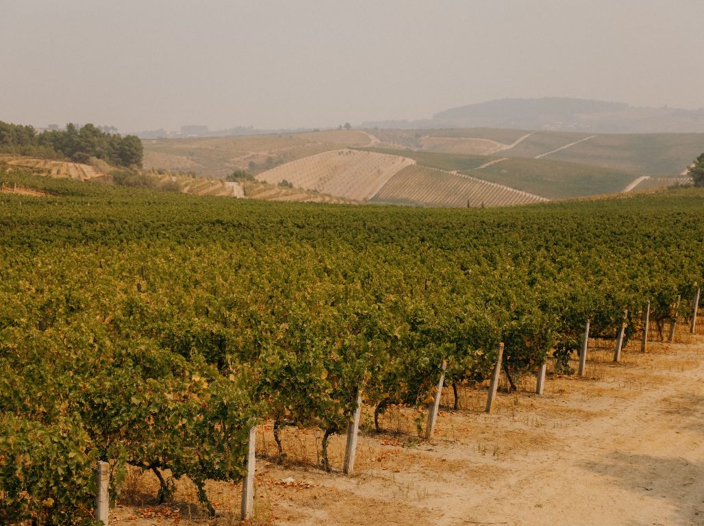 Ekskluzīva Gardēžu tūre Portugālē