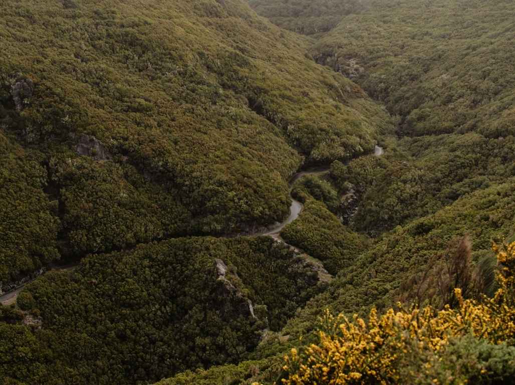 Jaunais gads Madeirā