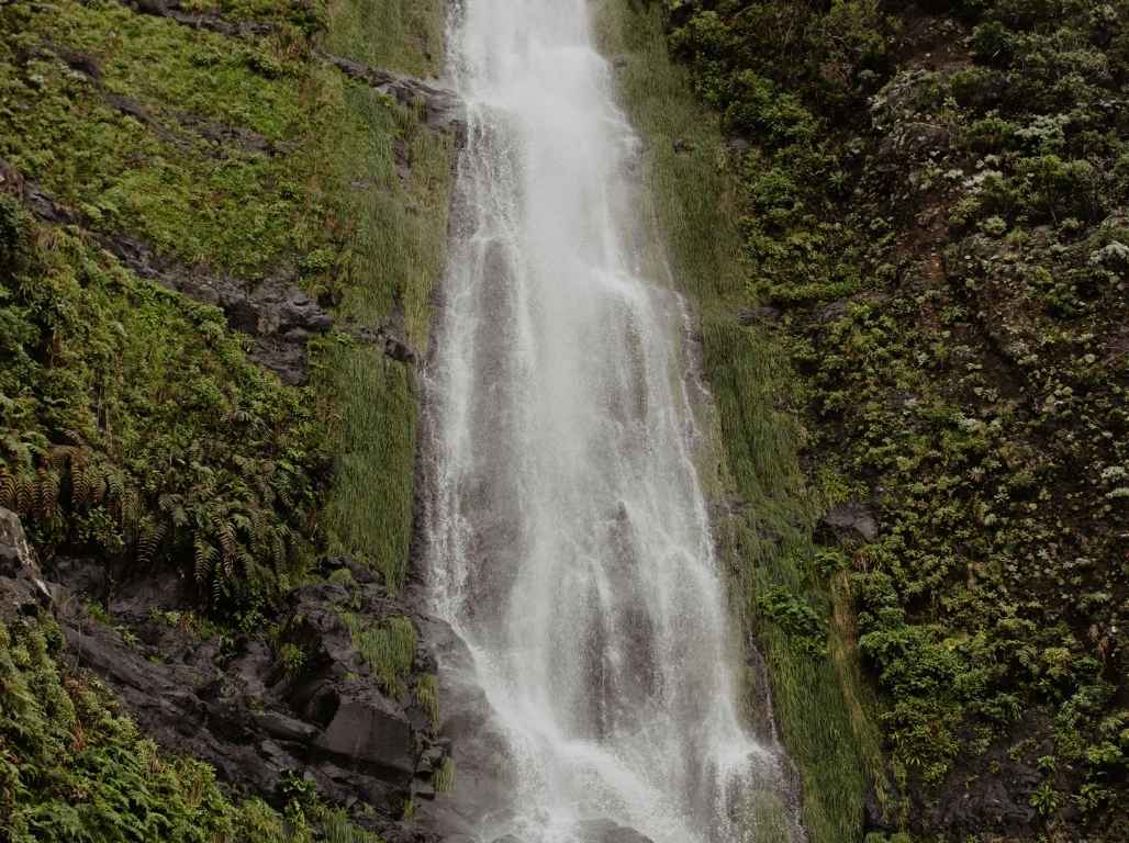 Jaunais gads Madeirā