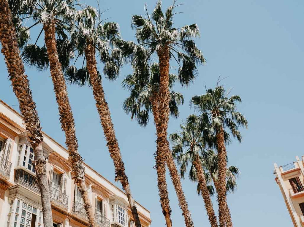 Ziemas saules pieskāriens Andalūzijā