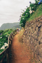 Atlantijas zaļā sala: mierpilns piedzīvojums Sao Miguel (caur Porto)