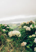 Atlantijas zaļā sala: mierpilns piedzīvojums Sao Miguel (caur Porto)