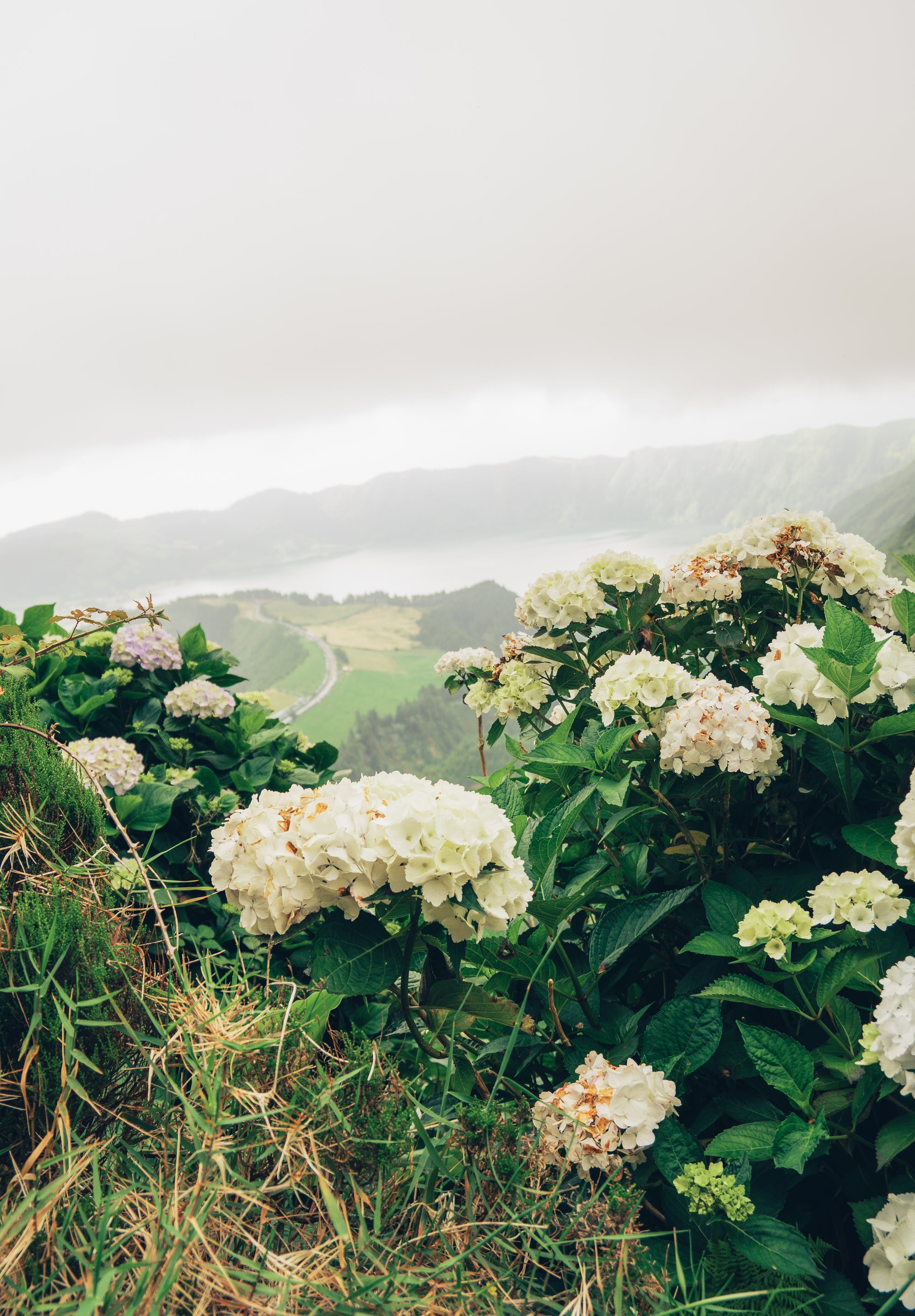 Atlantijas zaļā sala: mierpilns piedzīvojums Sao Miguel (caur Porto)