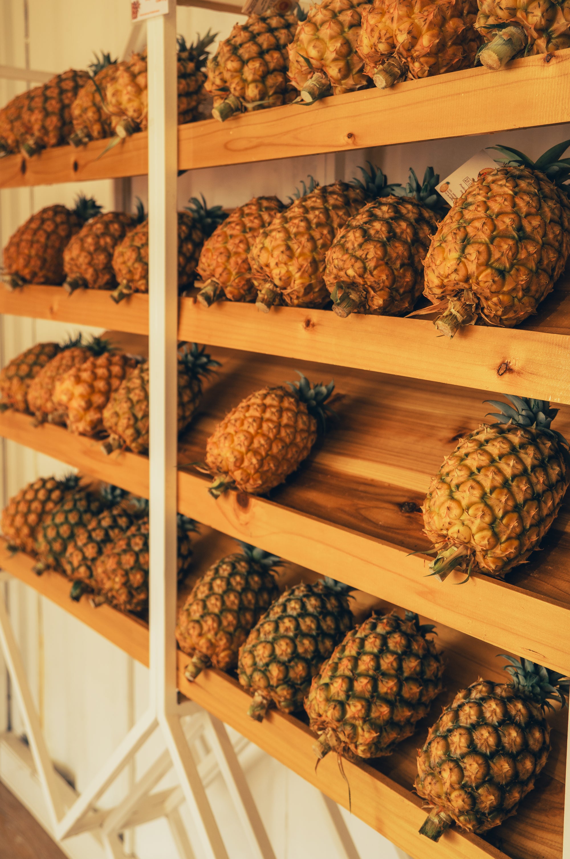 Atlantijas zaļā sala: mierpilns piedzīvojums Sao Miguel (caur Porto)