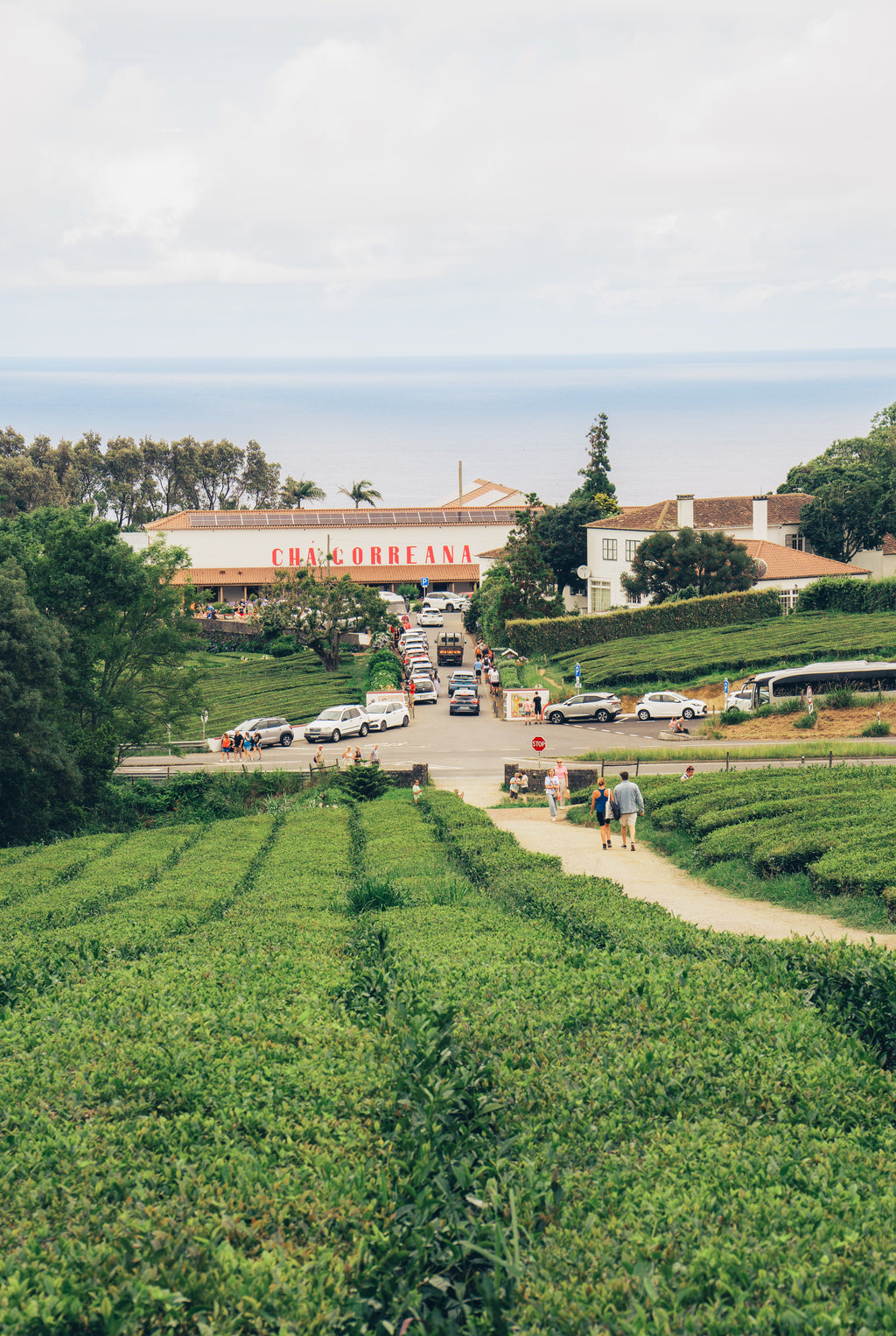 Atlantijas zaļā sala: mierpilns piedzīvojums Sao Miguel (caur Porto)