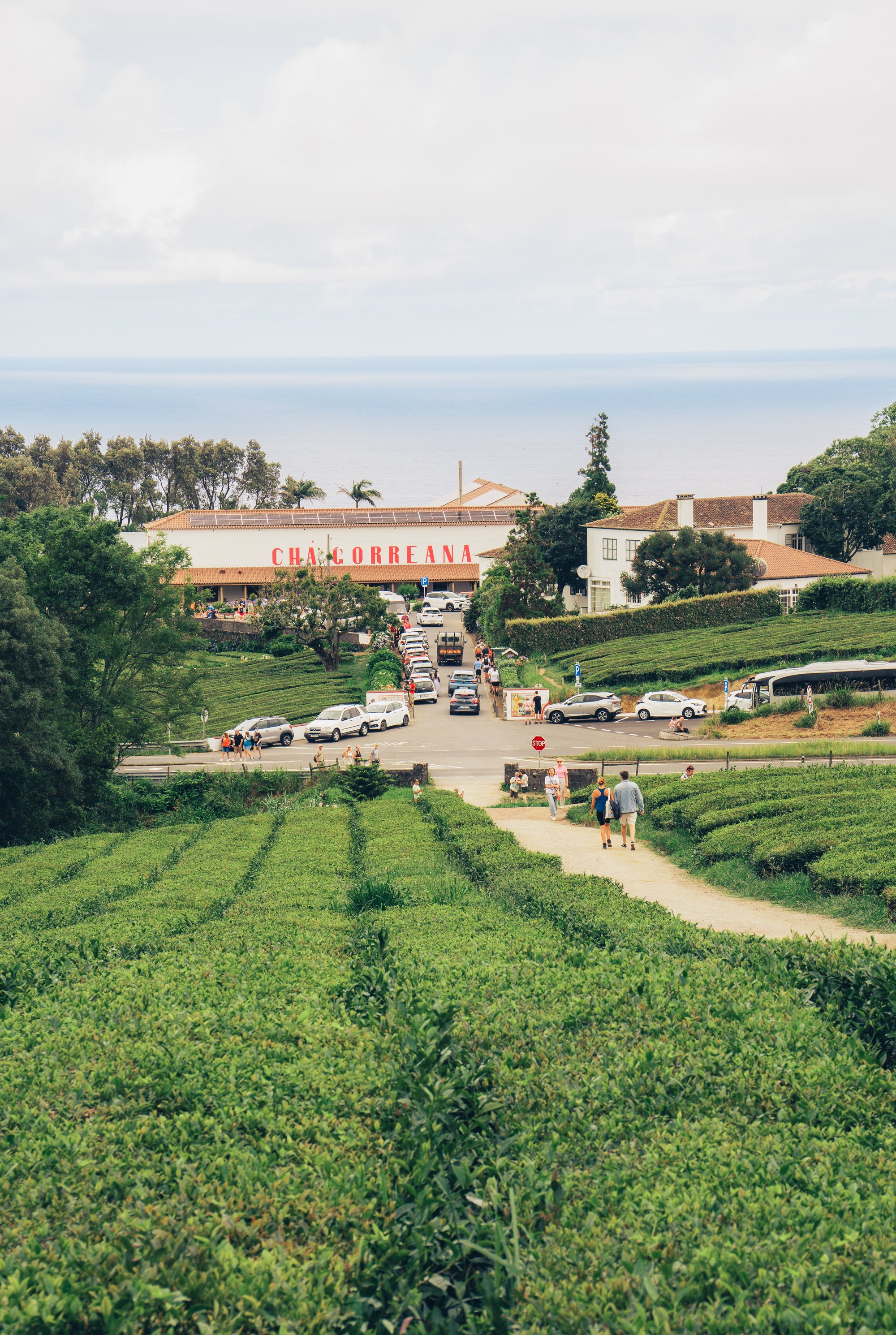 Atlantijas zaļā sala: mierpilns piedzīvojums Sao Miguel (caur Porto)