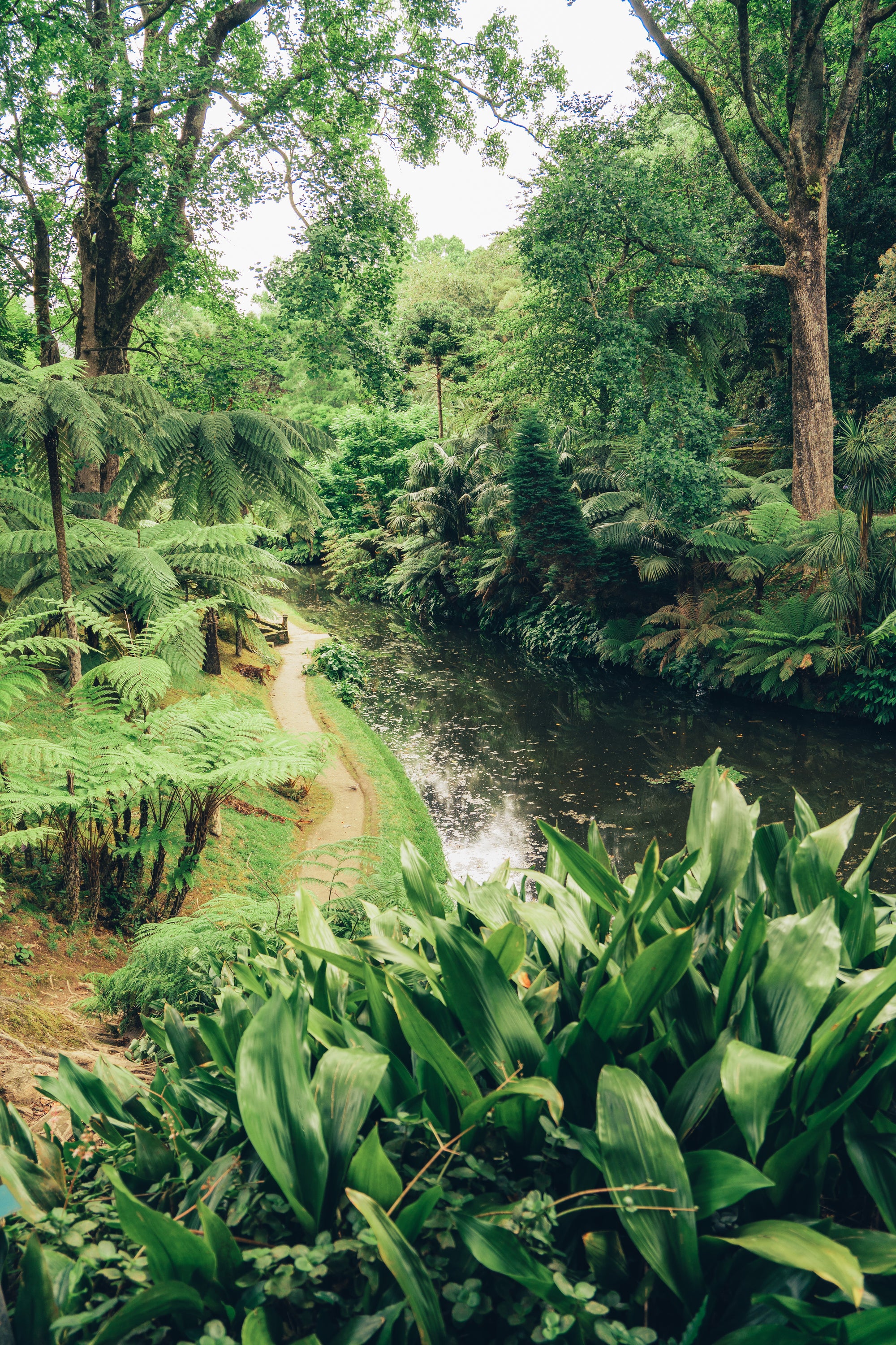 Atlantijas zaļā sala: mierpilns piedzīvojums Sao Miguel (caur Porto)