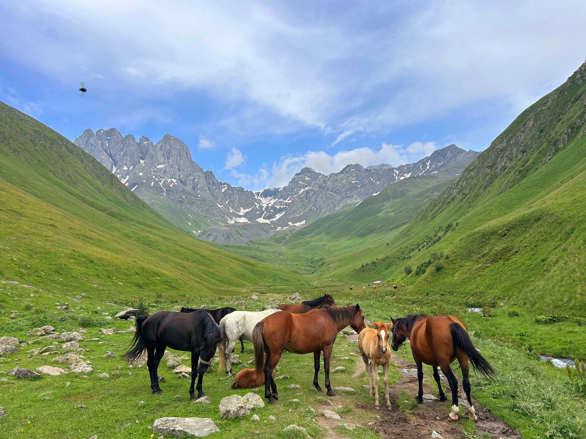 Baudi prieku Gruzijā jūnijā