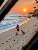 Šrilanka – paradīze Indijas okeānā