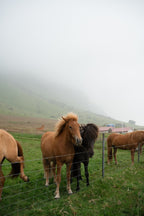 Uguns un ledus zeme Islande
