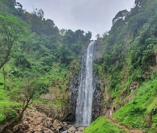 Āfrikas pērle: Tanzānijas safari un Zanzibāras okeāna miers