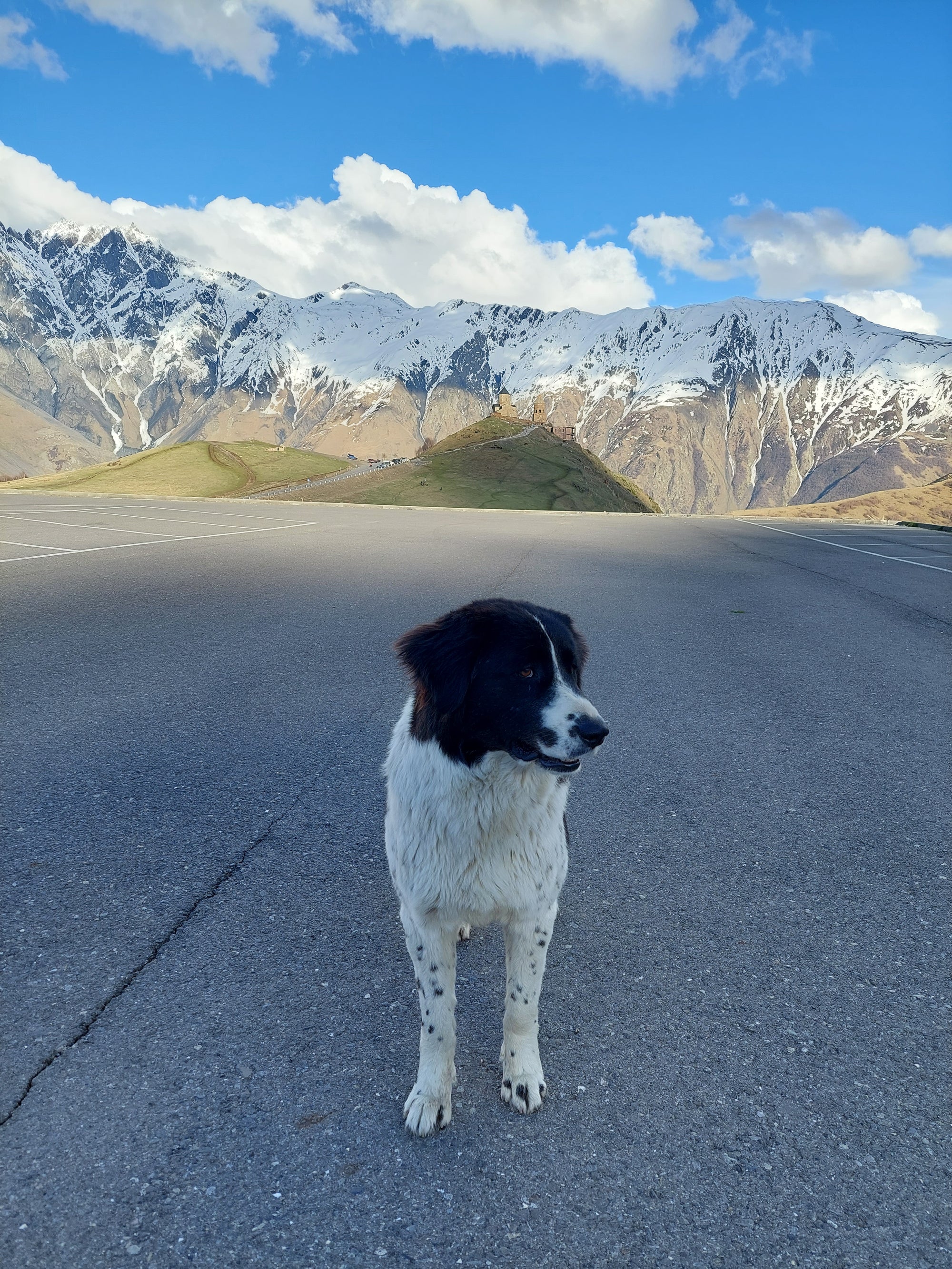 Baudi prieku Gruzijā maijā