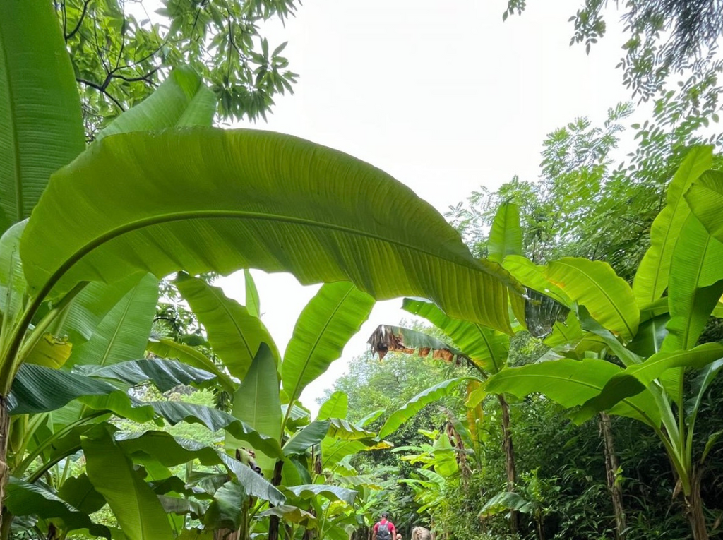 Gruzijas mazpilsēta, kas dzīvo lēni: Melnās jūras piekraste sezonas laikā 3